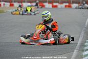 _DSC4370 copie